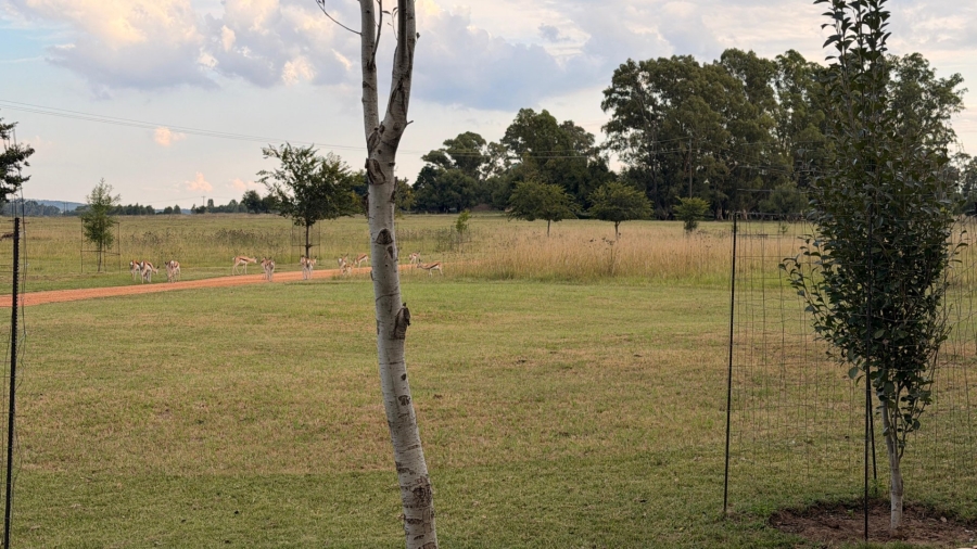  Bedroom Property for Sale in Viljoenskroon Rural Free State